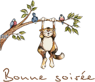 bonne soirée à tous